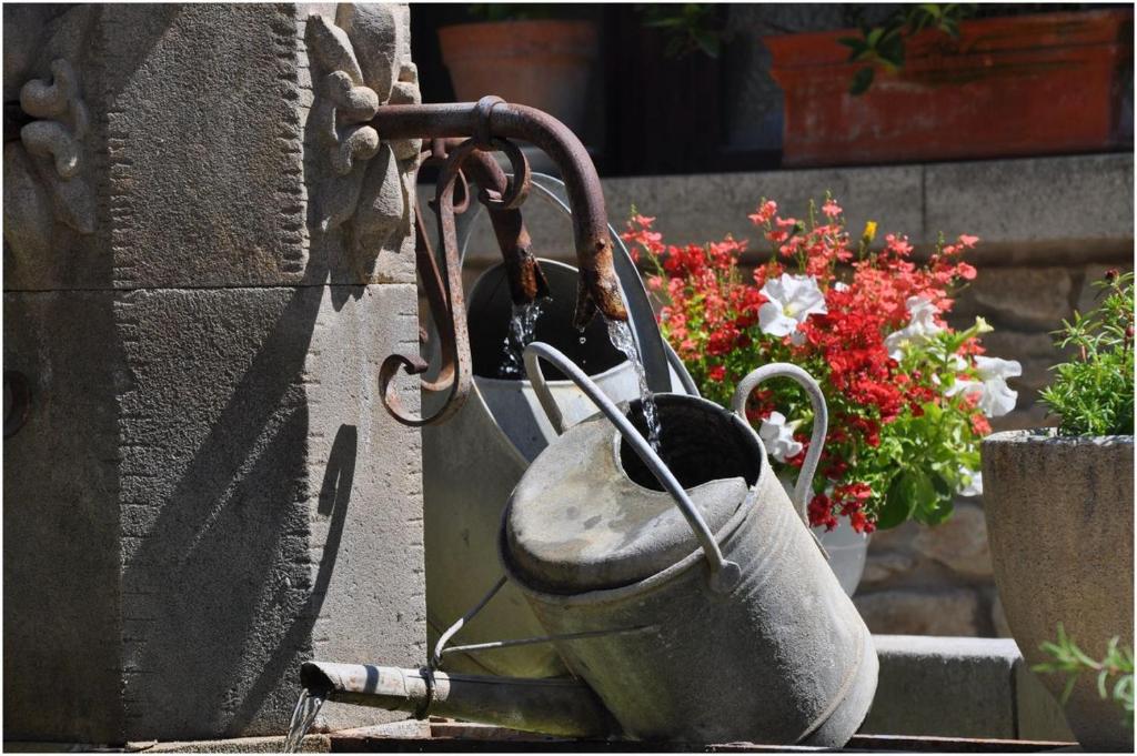 La Figuiere Fontaine de Vaucluse photo 4