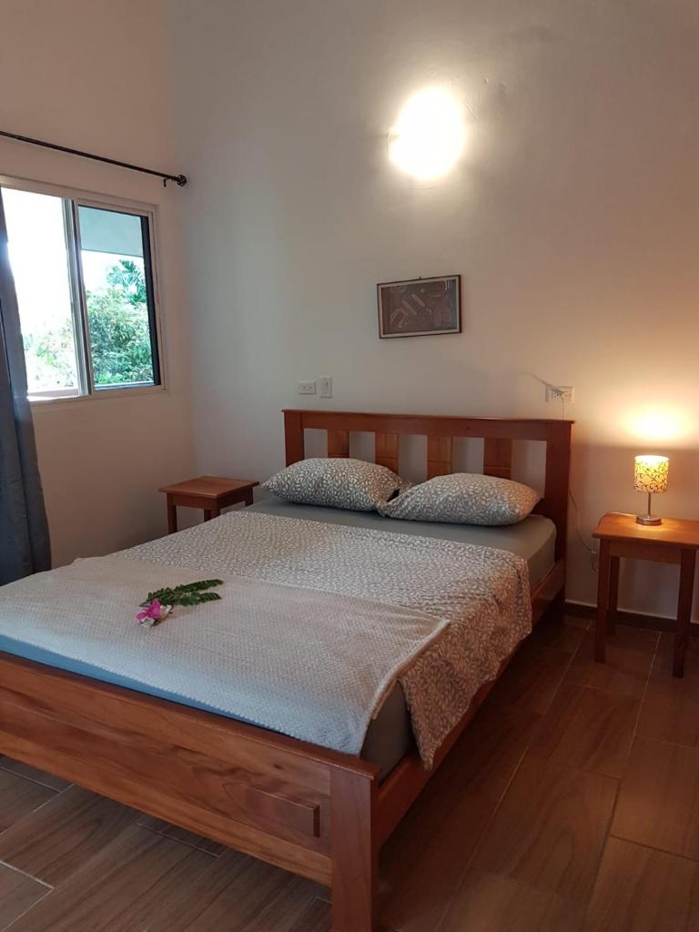 Magic Mountain Lodge photo 3