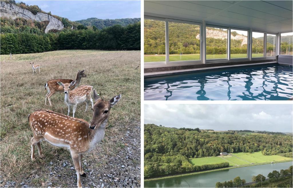Le Val des Cerfs - Het Hertendal photo 1