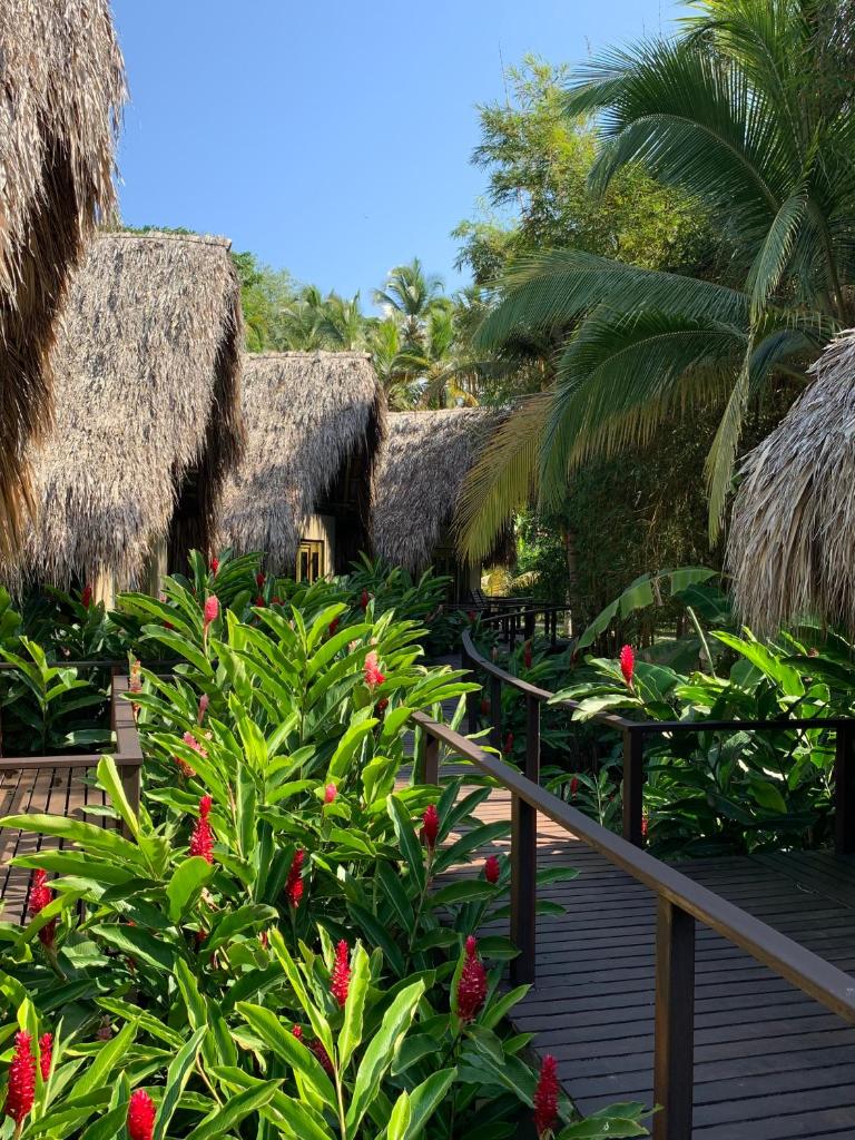 Casa Bambu Tayrona, Los Naranjos photo 2