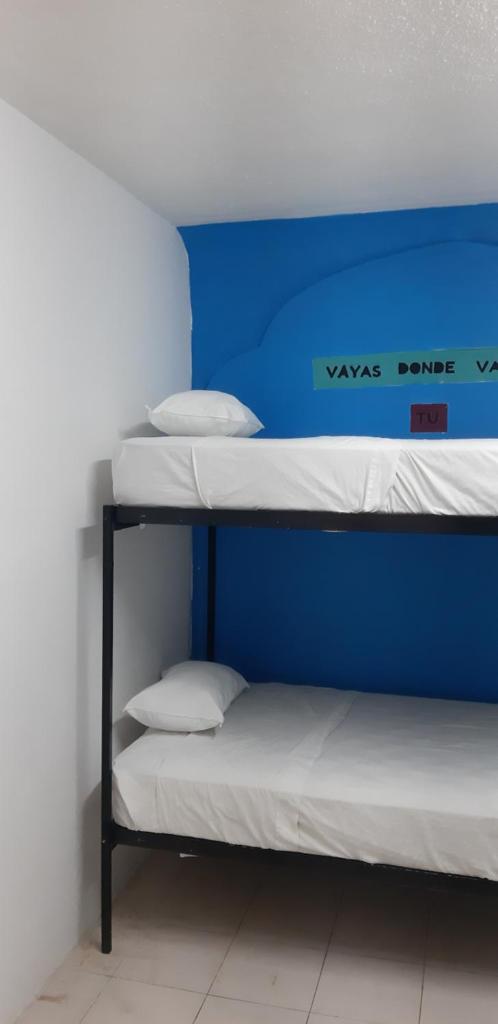 Номер (Кровать в общем номере для мужчин с 4 кроватями), Hostel 6/15