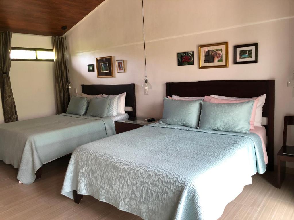 Casa Donna Rosa B&B photo 4