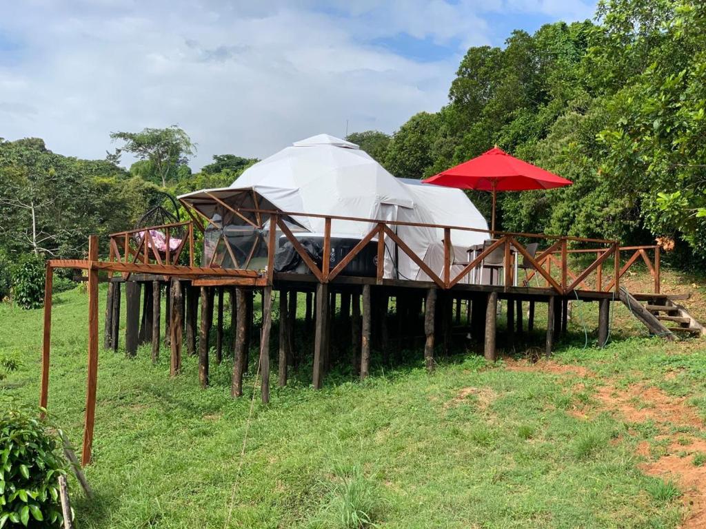 Eco-Glamping Shalom photo 1