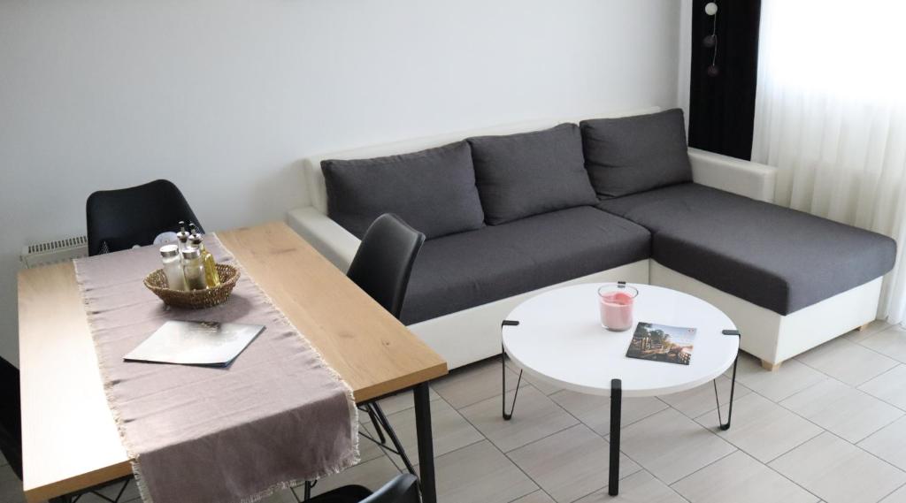 Apartment Sandra Toplice Sveti Martin photo 1
