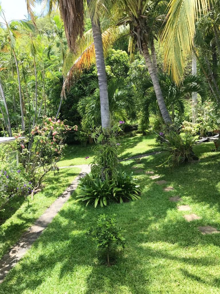 Studio at Boucan Canot 900 m away from the beach with enclosed garden and wifi photo 2
