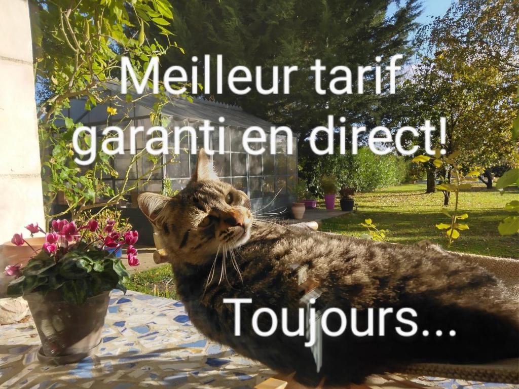 La Grange Dîmière, près de Tours photo 3