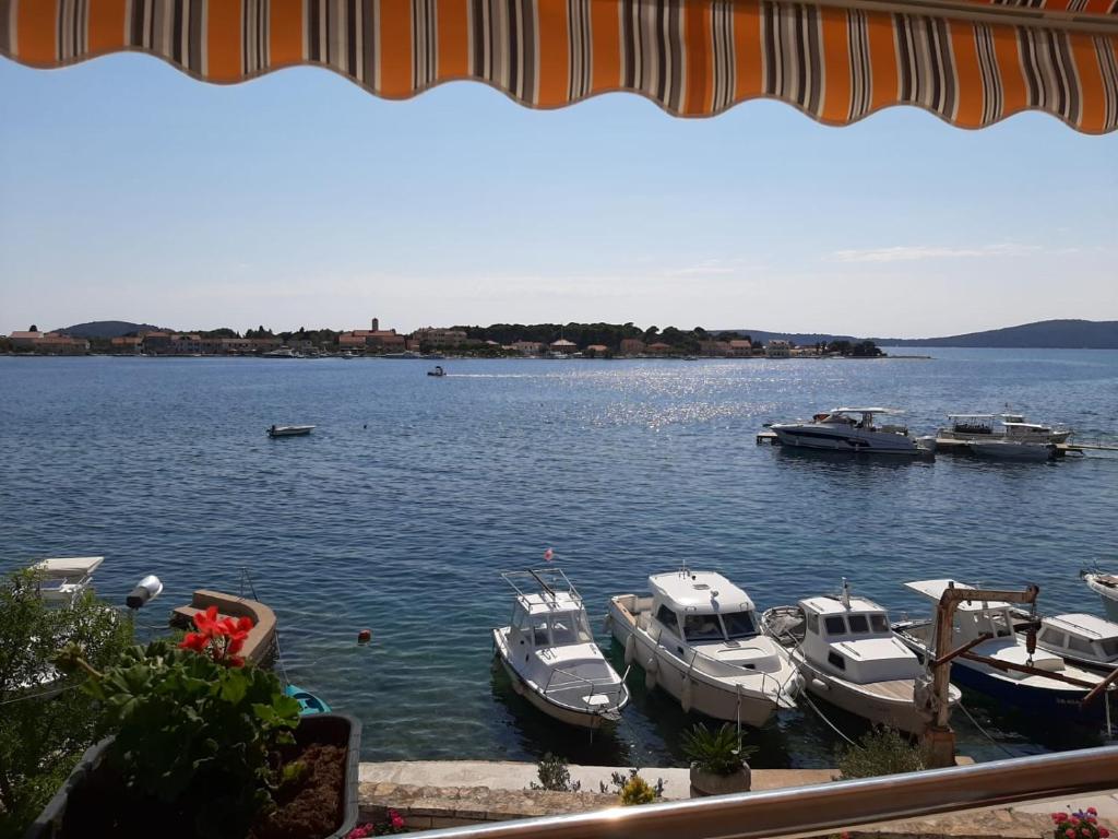 Apartmani Nevena photo 4