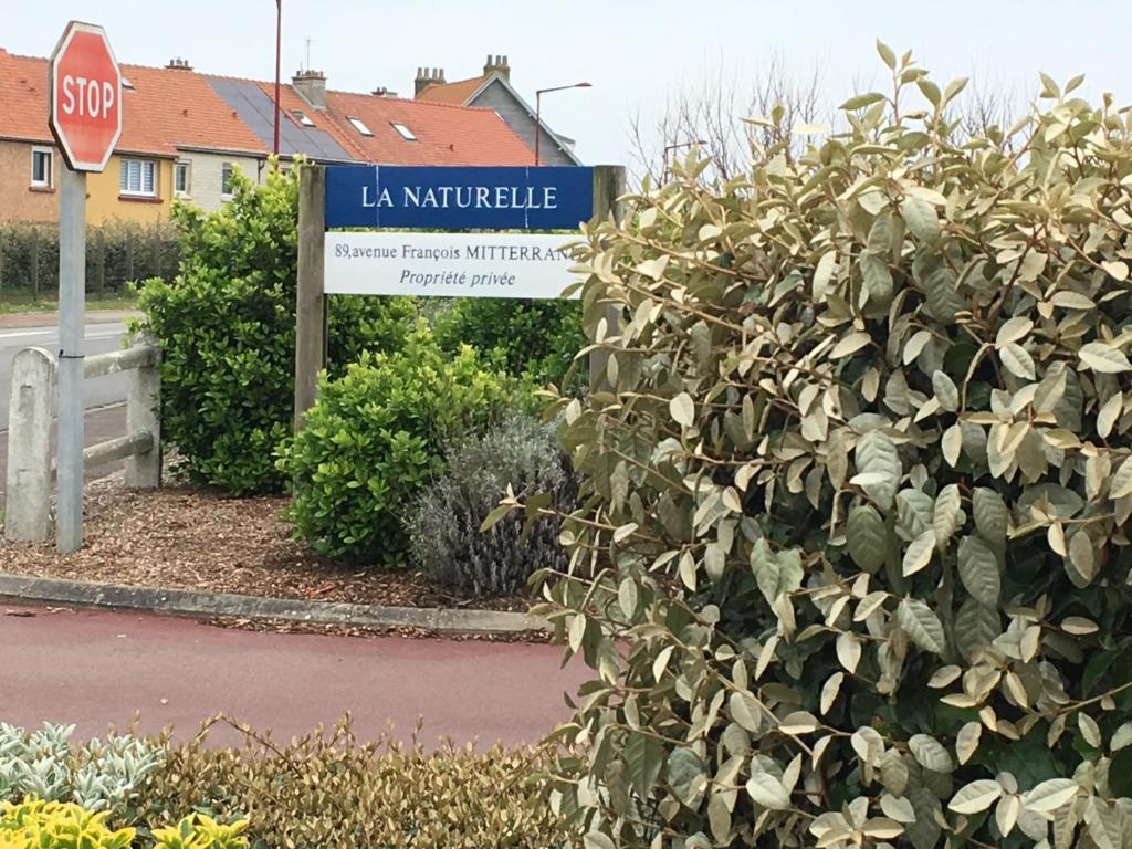 La mer vue d'en haut , duplex à la naturelle sur la côte d'opale photo 4