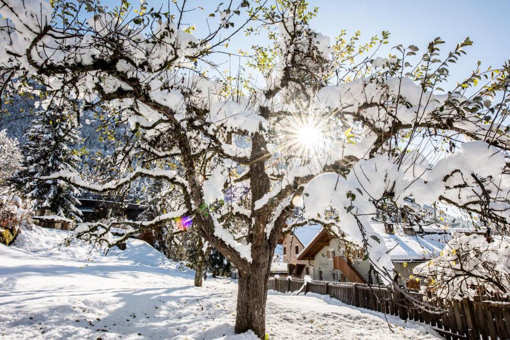 Haus Bergfrieden Seiser Alm photo 1