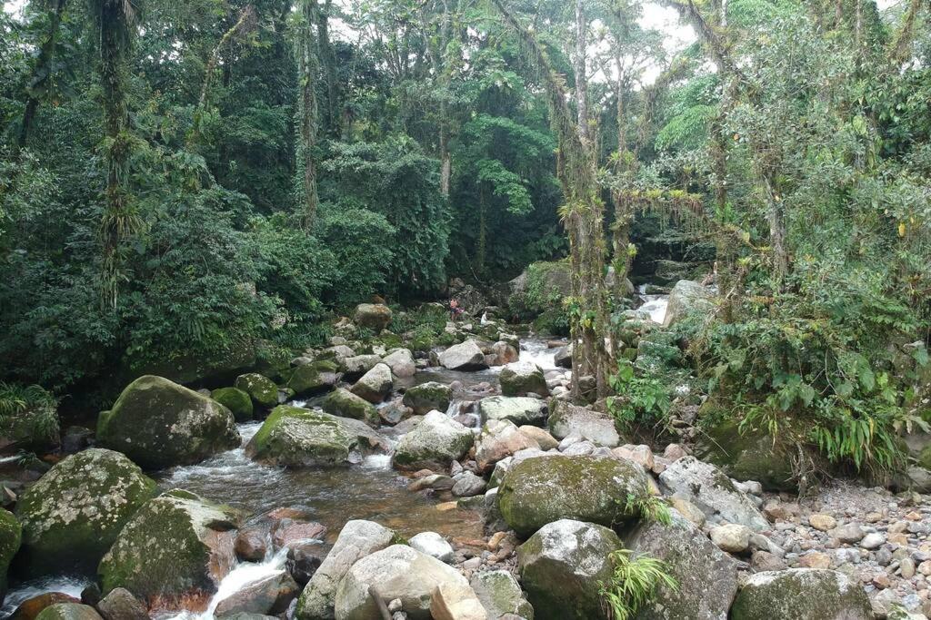 Paraíso en la montaña con cascadas y lago de pesca photo 1
