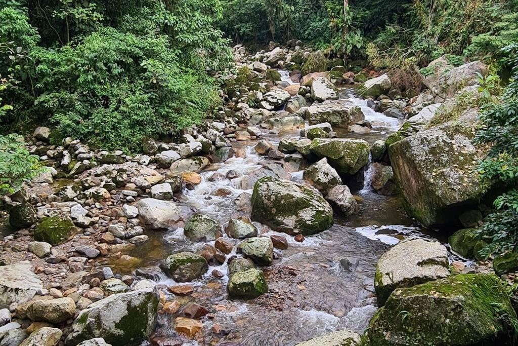 Paraíso en la montaña con cascadas y lago de pesca photo 2