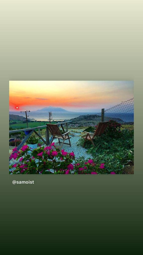Dimitri Ada Evi & Restaurant