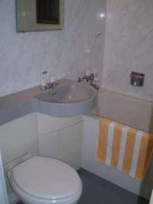 Ikawa Ryokan photo 4