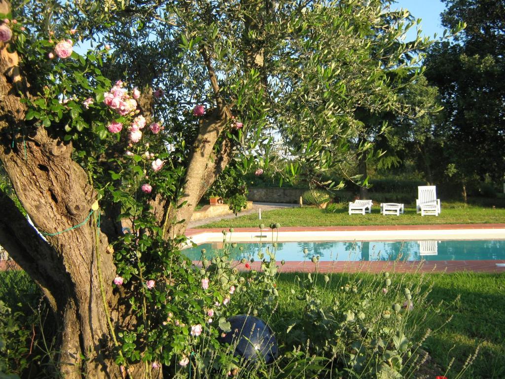 Agriturismo Poderino photo 2