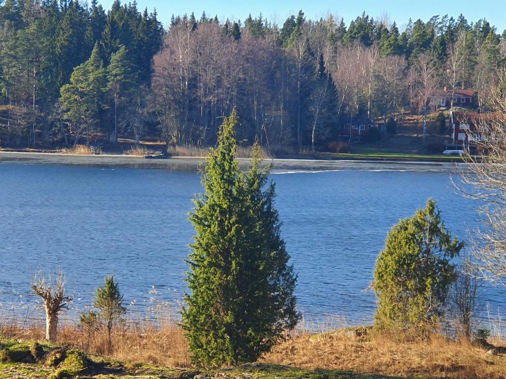 Sjöstuga Vätö photo 1