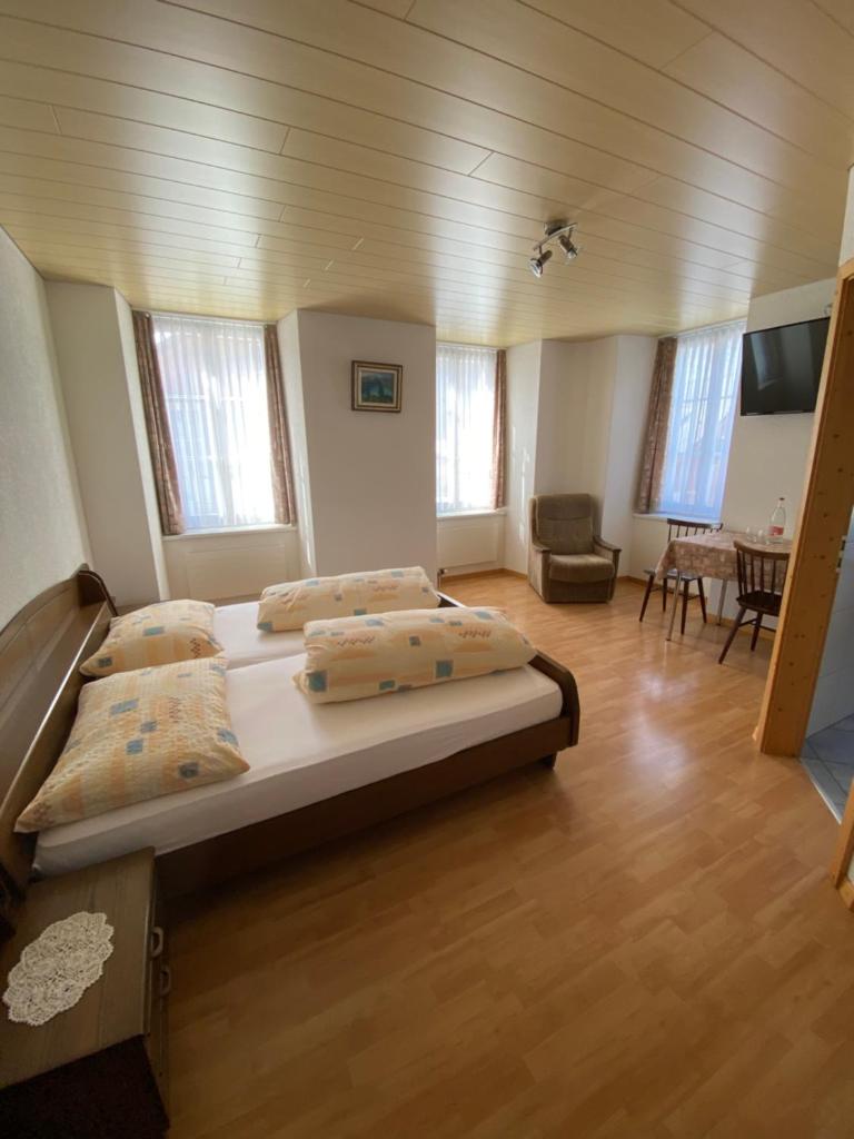 Hotel Alpina photo 1