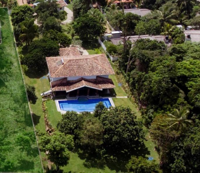 Tropical Dream Villa photo 2