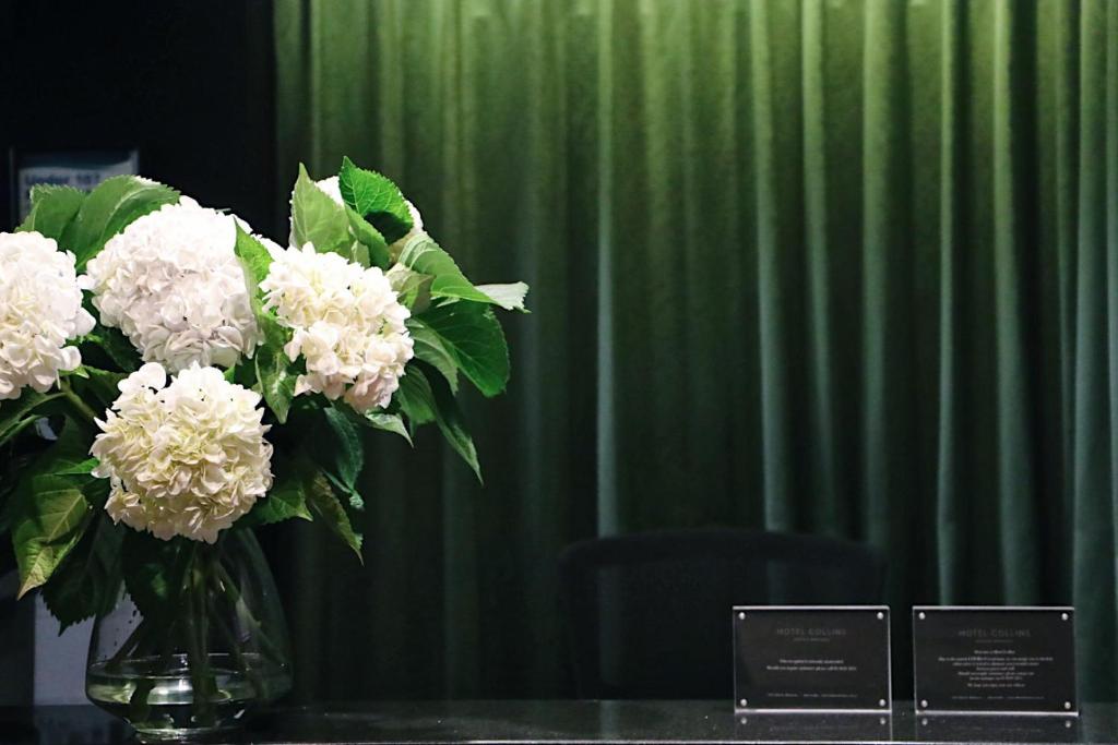 Hotel Collins photo 4