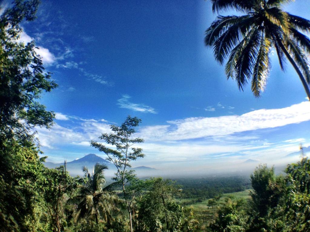 Villa Borobudur Resort photo 4