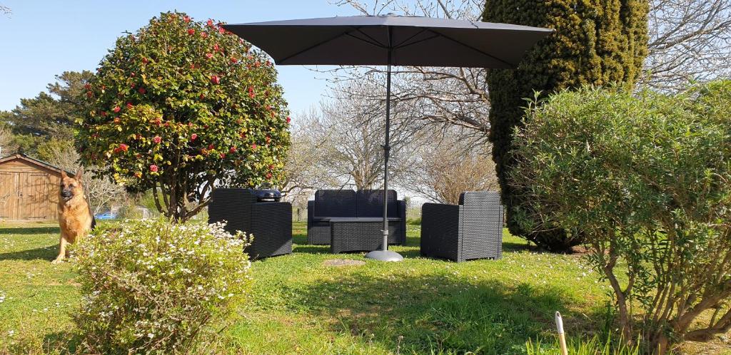 Appartement 50 m2, Calme, Marche à pied, Proche mer photo 4