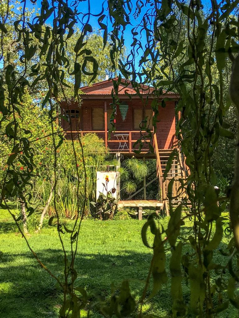 Cabaña en Isla del Delta de Tigre - LA CALMA photo 4