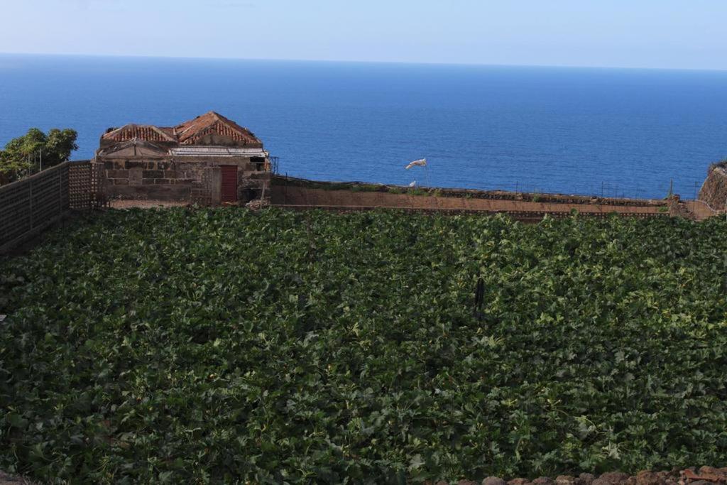 2 bedrooms chalet with sea view enclosed garden and wifi at Icod de los Vinos 2 km away from the beach photo 1