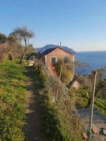 Pace tra gli ulivi e il mare
