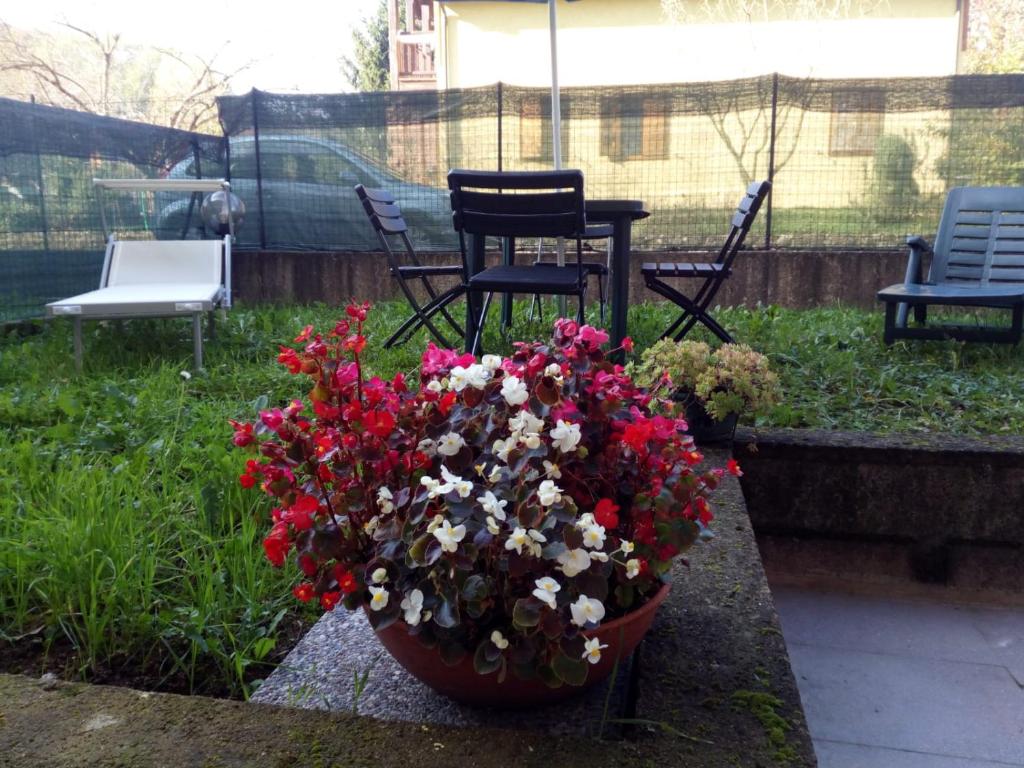 Appartamento in Toscana con Piscina e giardino photo 3