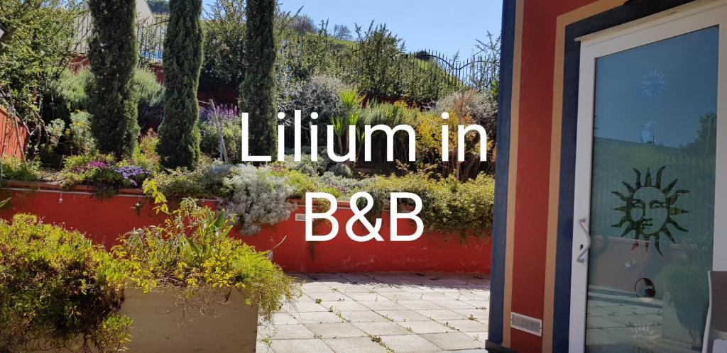 Lilium In B&B photo 4