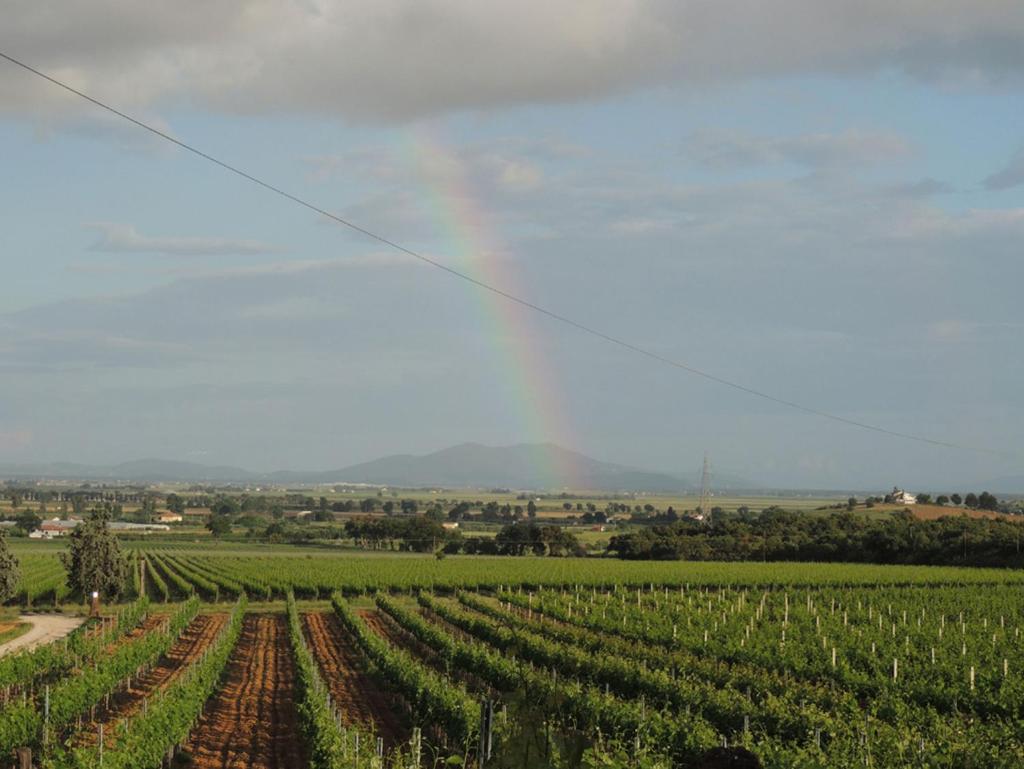 La Merla photo 1