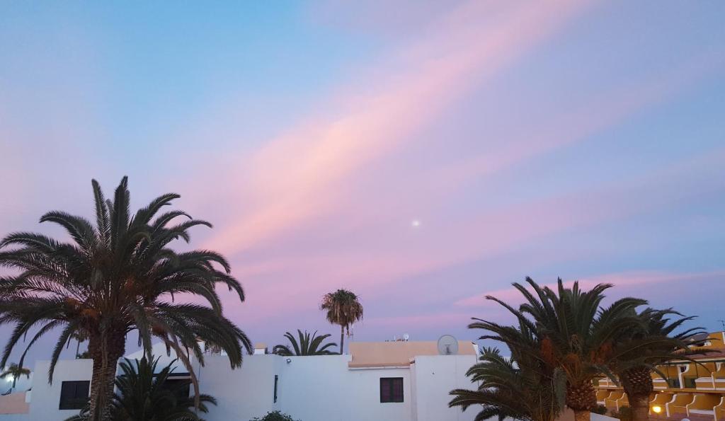 La Caleta photo 4