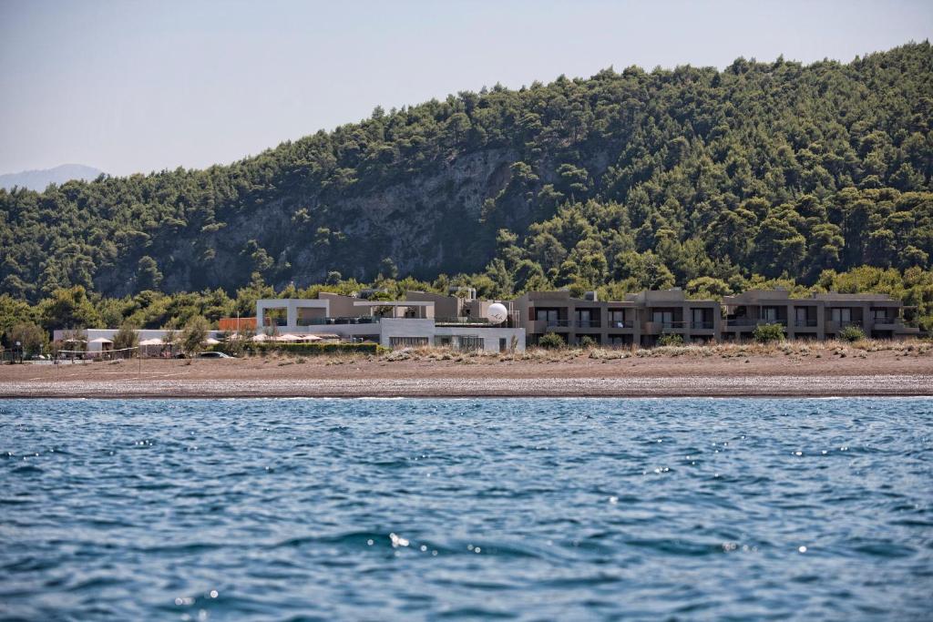 Thalatta Seaside Hotel photo 3
