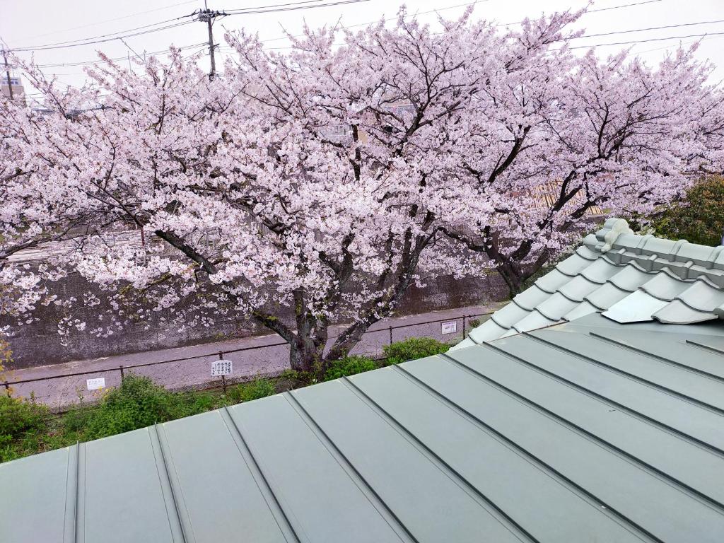 Guesthouse Sakichi photo 3