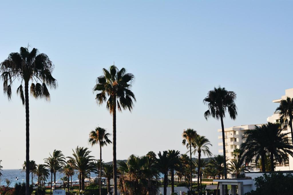 Villa Miel photo 3