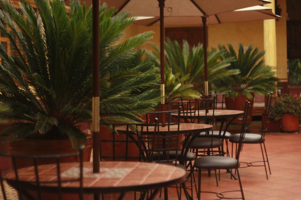 Posada de la Salud photo 3