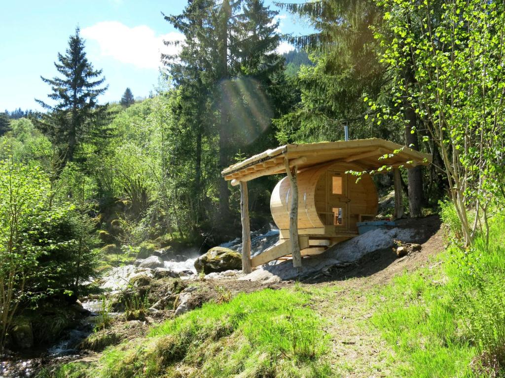 Chalet Skåsheim - FJS023 by Interhome photo 3