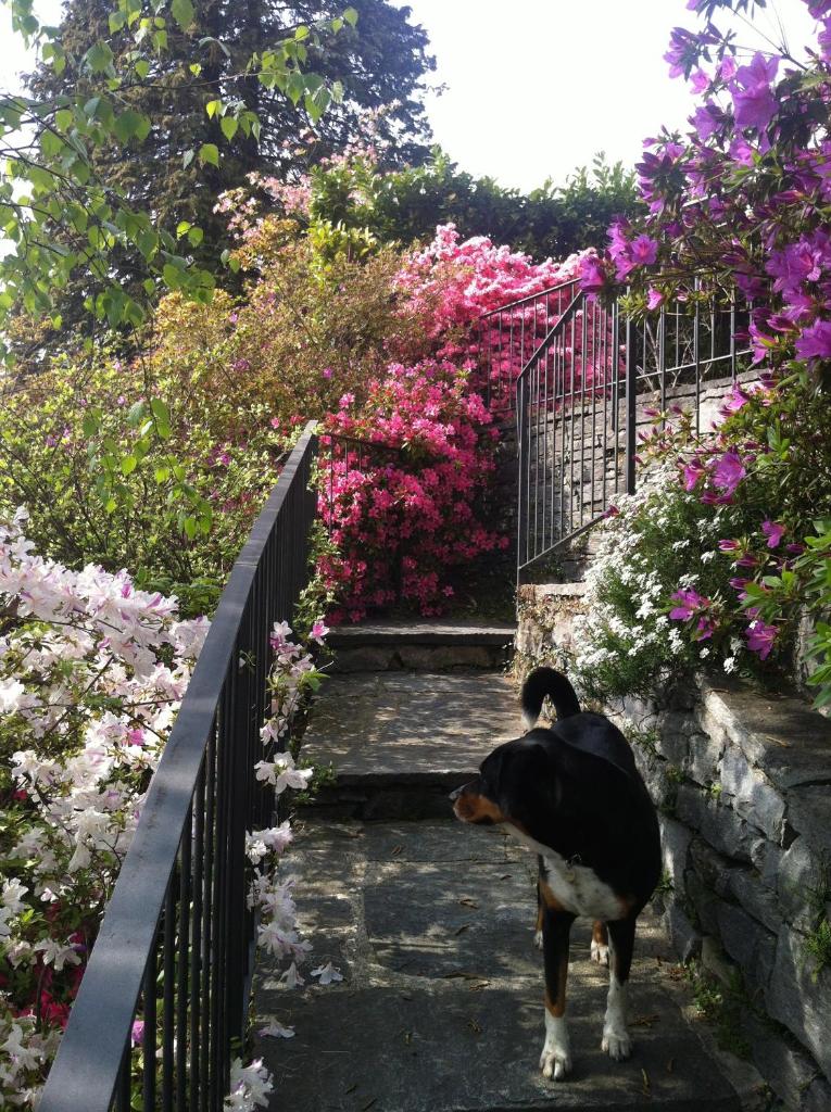 Casa Alice photo 4