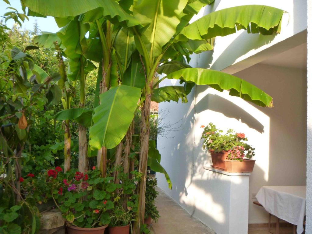 The apartment with air conditioned (for 1-5 people), in the quiet part of Porec photo 3