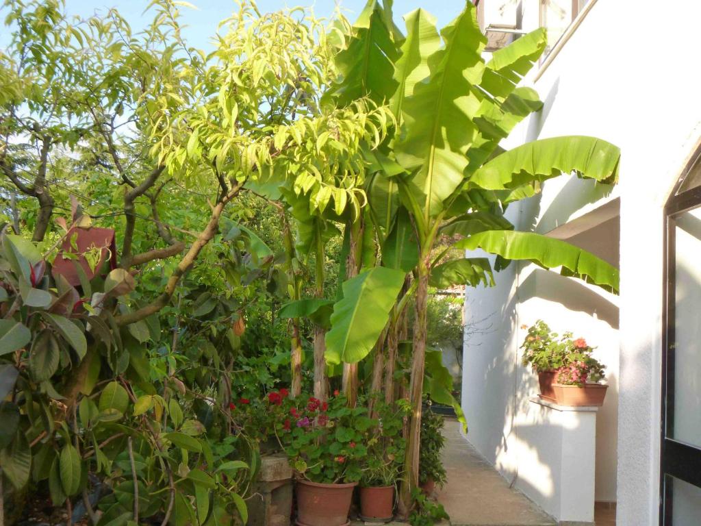 The apartment with air conditioned (for 1-5 people), in the quiet part of Porec photo 2