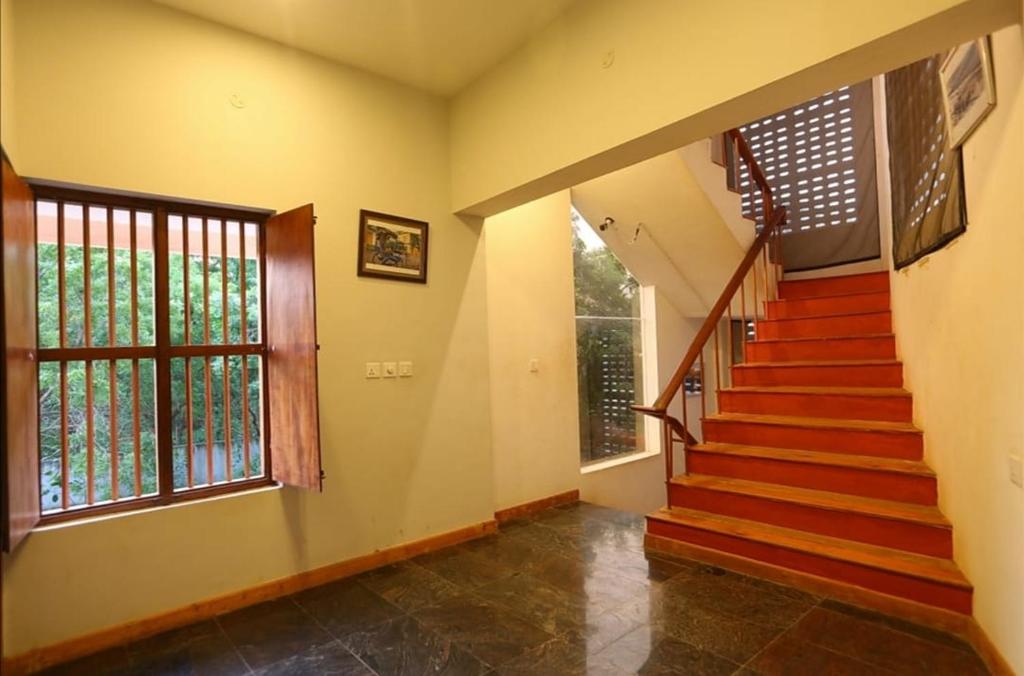 Le Apex Inn photo 2