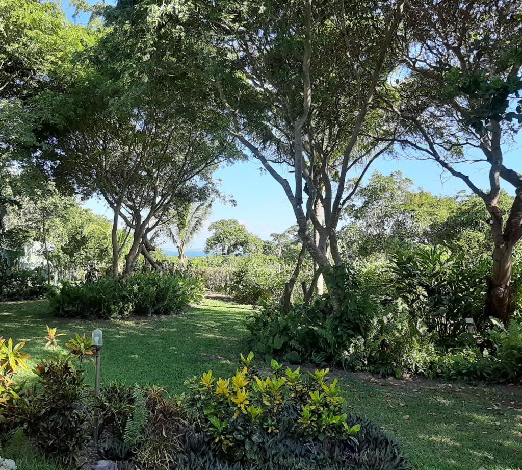 Casa Jardim photo 2