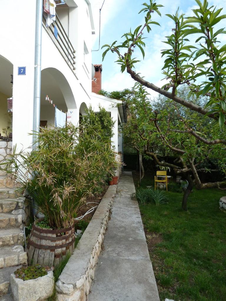 Apartment Mrkić photo 3