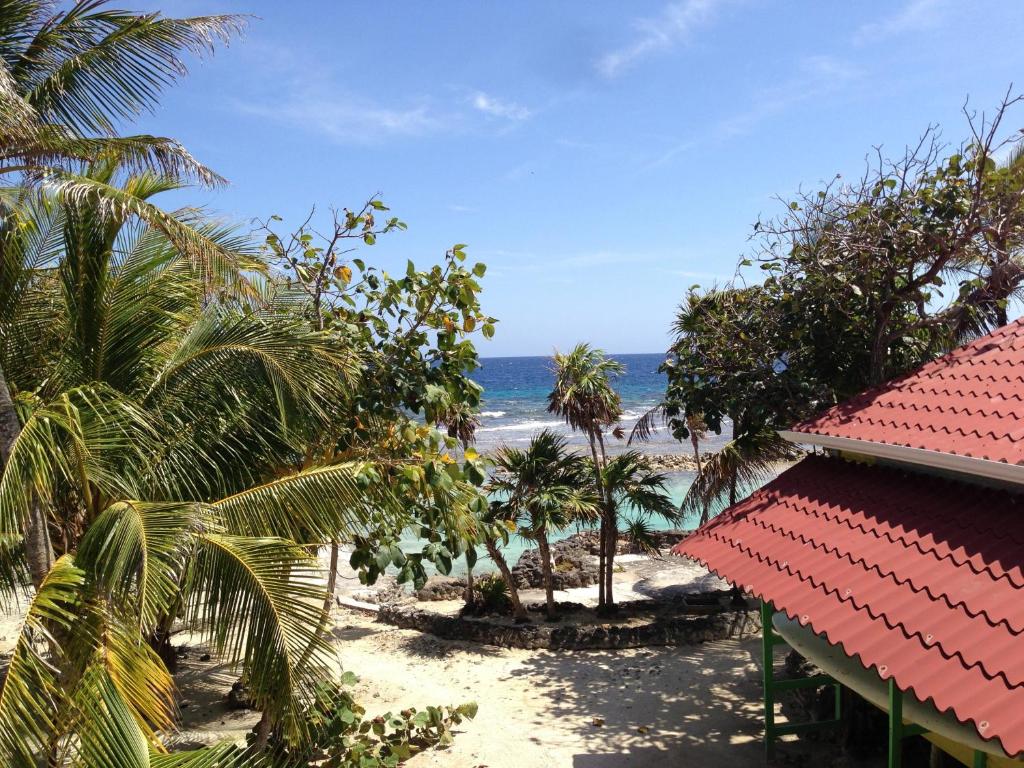 Reef House Resort photo 4