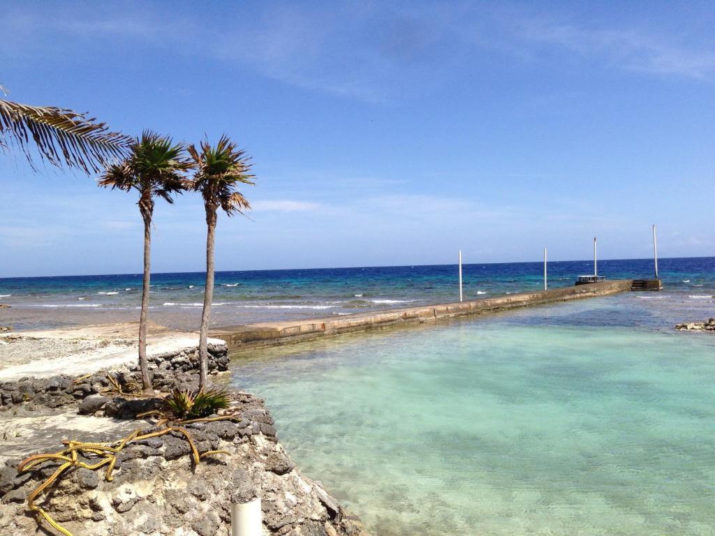 Reef House Resort photo 2