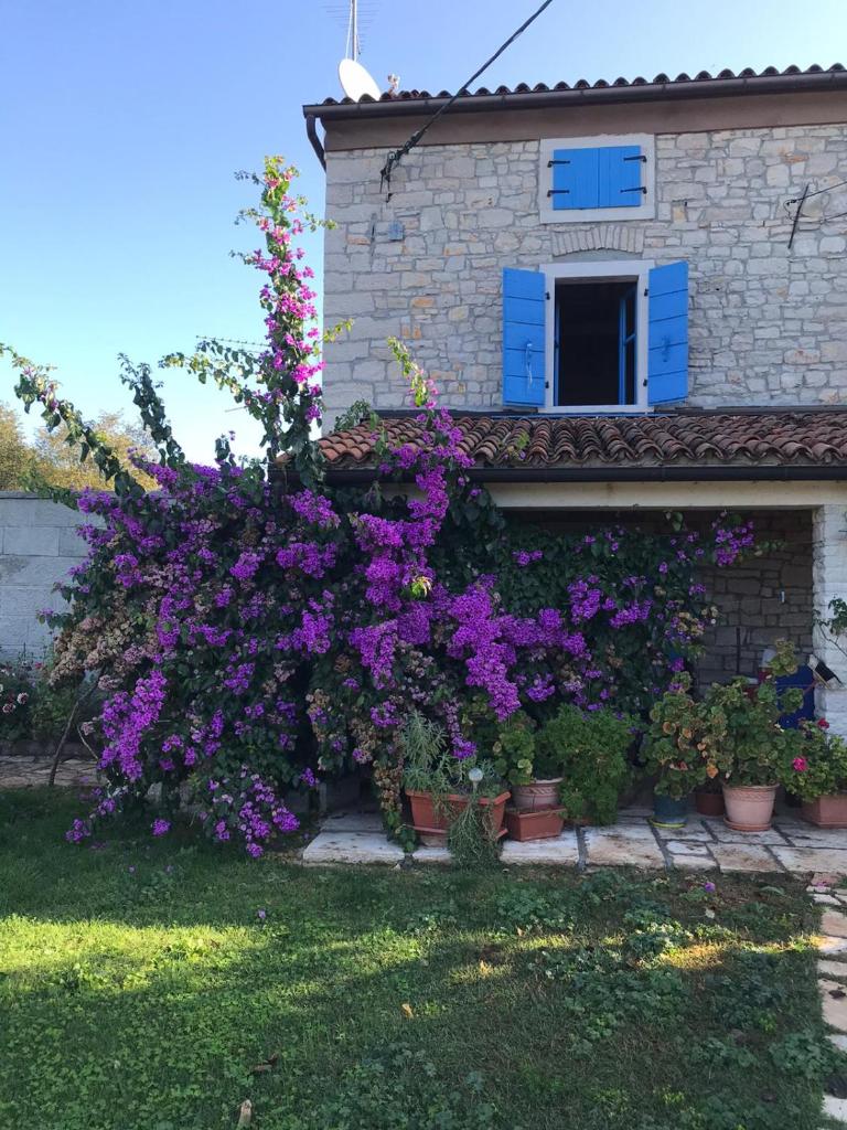 Farmhouse Cubani photo 2