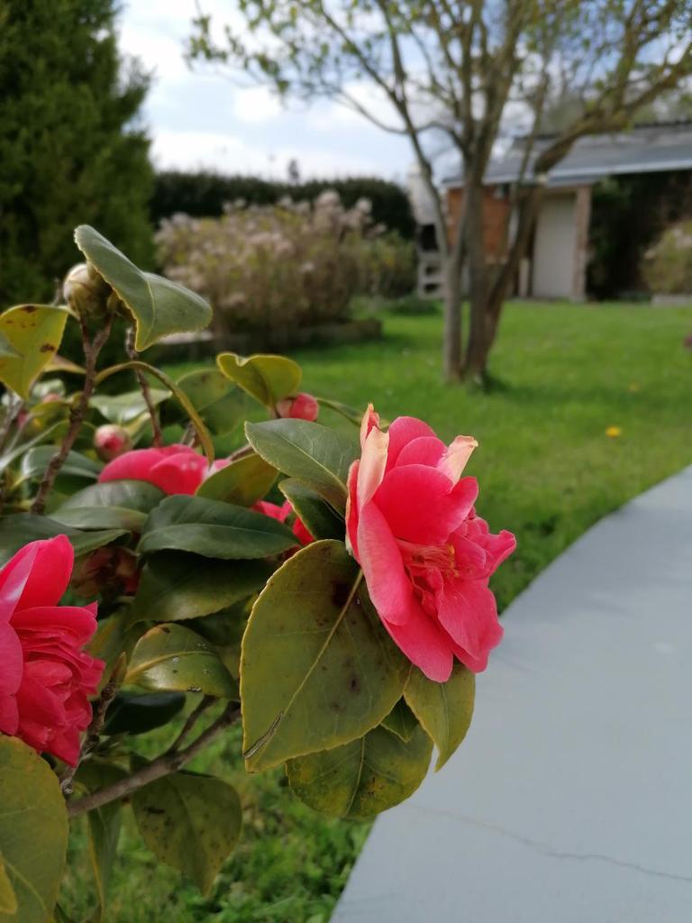 Proche de Bayeux, près des plages du débarquement, à la campagne photo 4