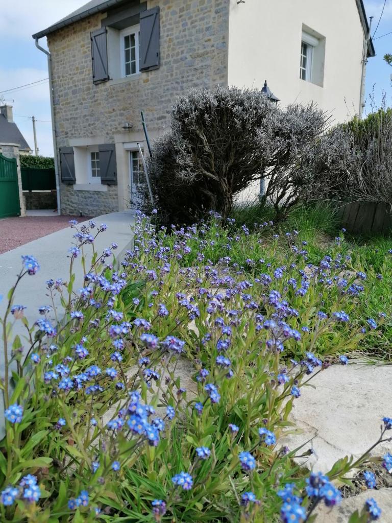 Proche de Bayeux, près des plages du débarquement, à la campagne photo 1