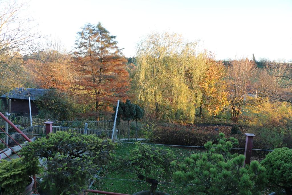 Gesves Côté Jardin photo 3