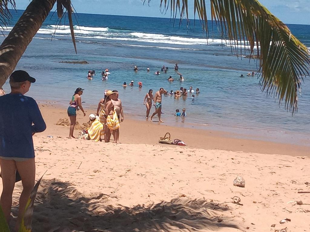 Pousada Obedemar - Taipu de fora, Barra Grande, Ba photo 3