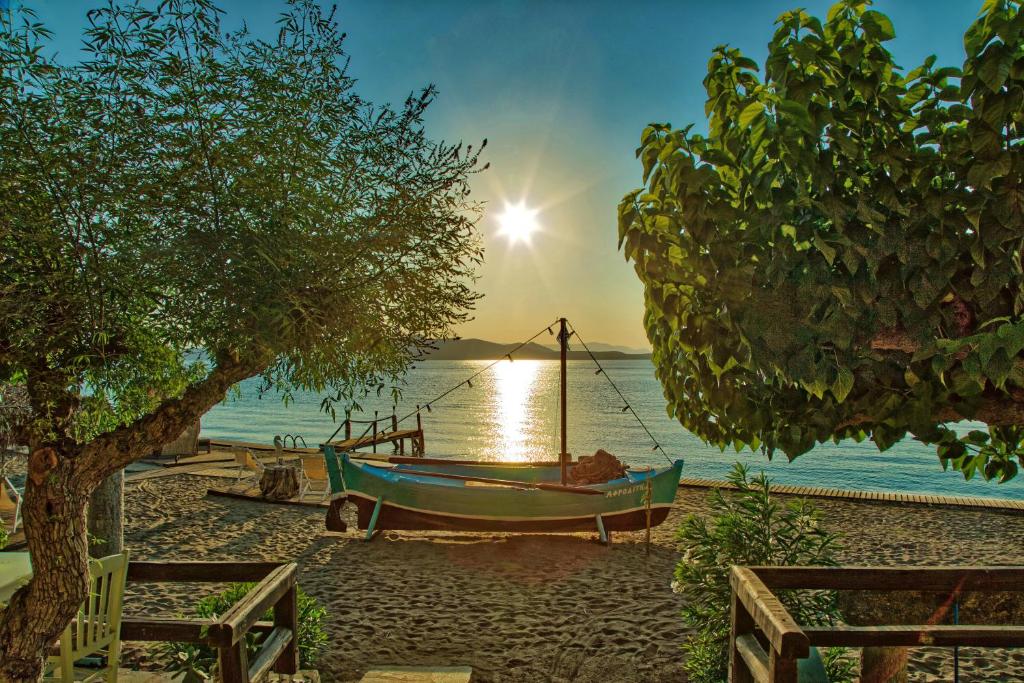 Venus Beach Hotel photo 4